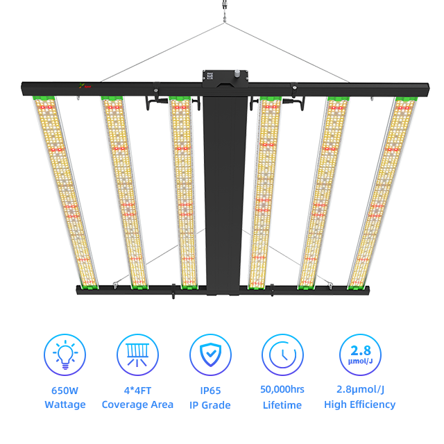 SunMax 6SP 6Bar 750W