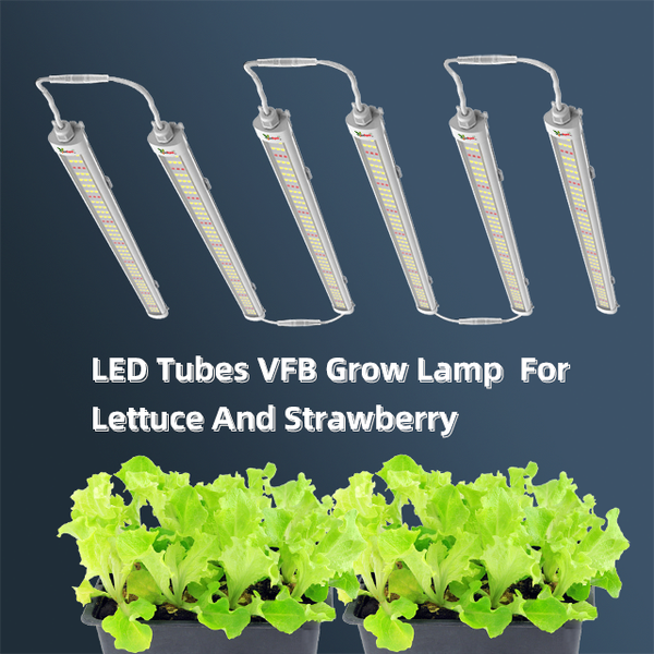 VFB 18-24-36W  LED Bar Grow Light