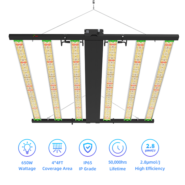 SunMax 6SP 6Bar 650W