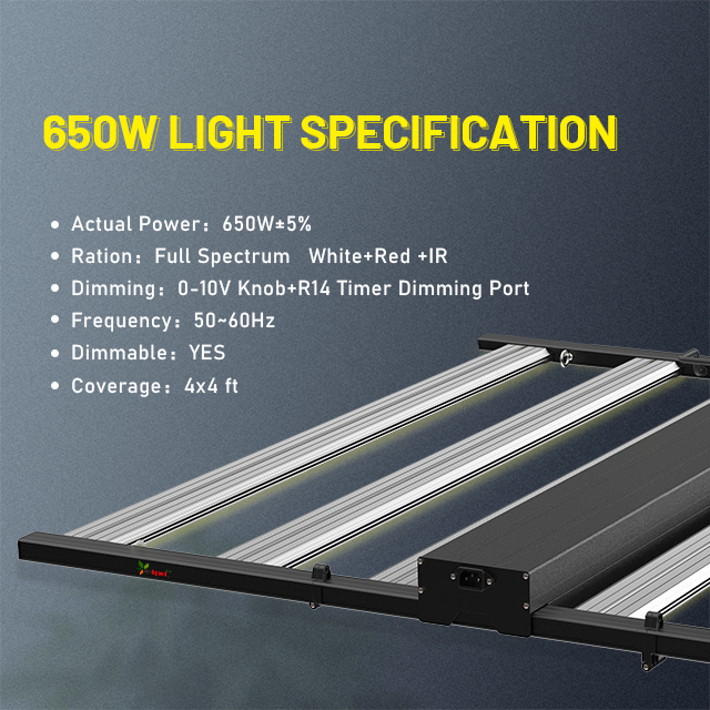 SunMax 6SP 6Bar 650W