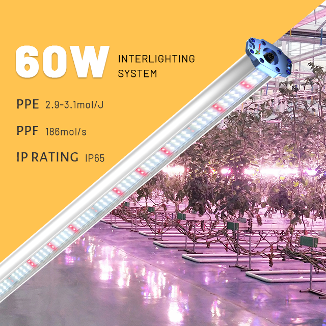 VFI Interlighting Grow Light 60W