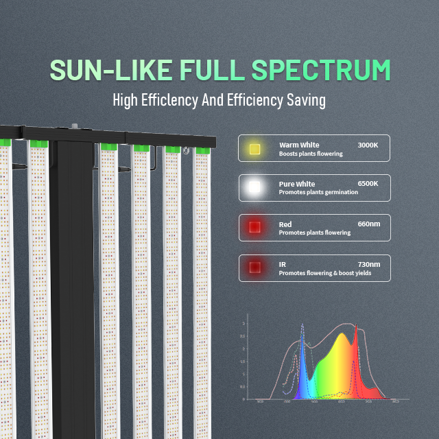 SunMax 8SP 8Bar 1000W