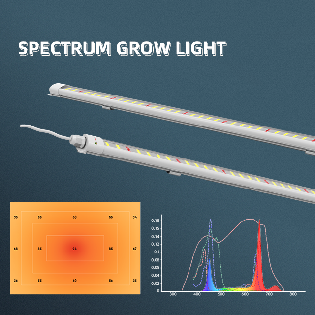 VFB 18-24-36W  LED Bar Grow Light