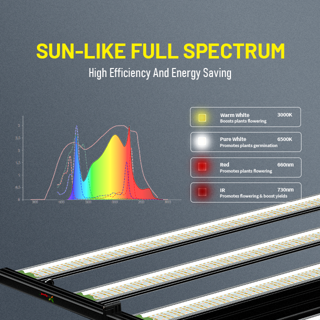 SunMax 6SP 6Bar 750W