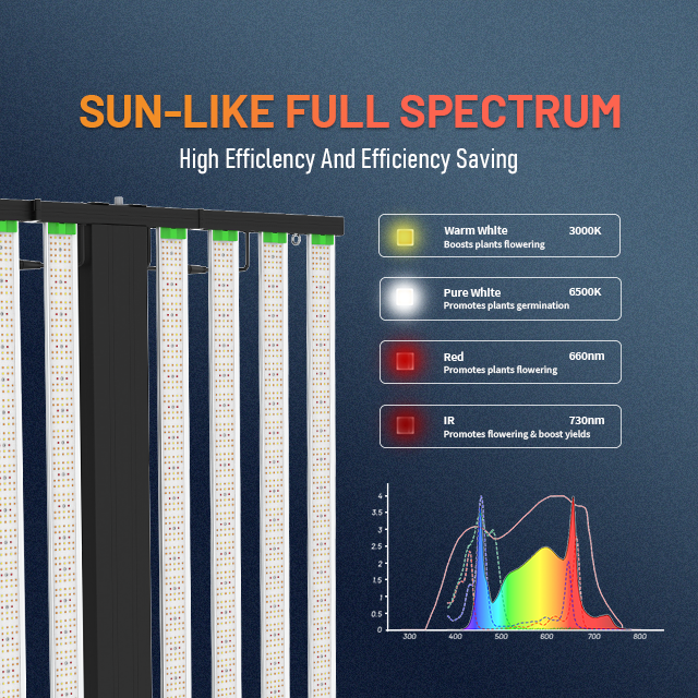 SunMax 8SP 8Bar 800W