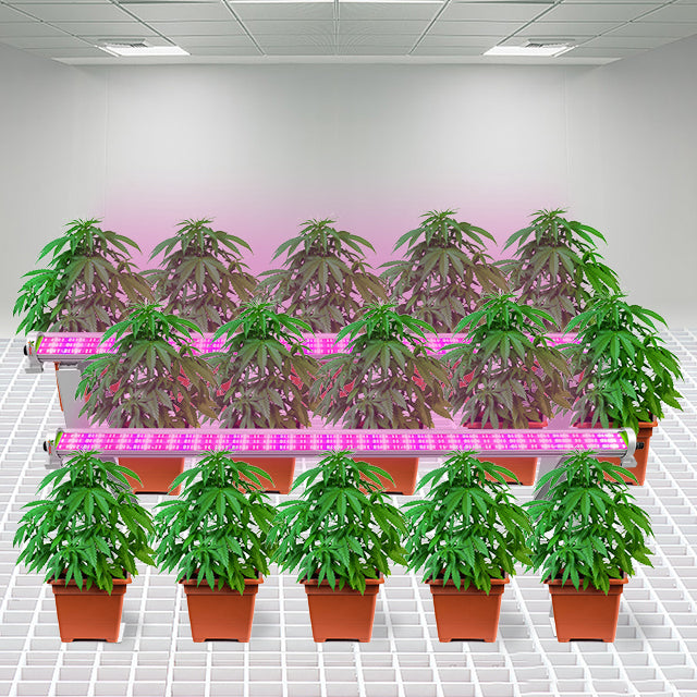 NEW Under Canopy Grow Light Bar 120W